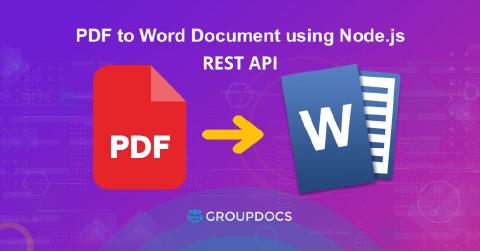 Convert PDF to Word in Node.js | PDF to DOCX or DOC Online