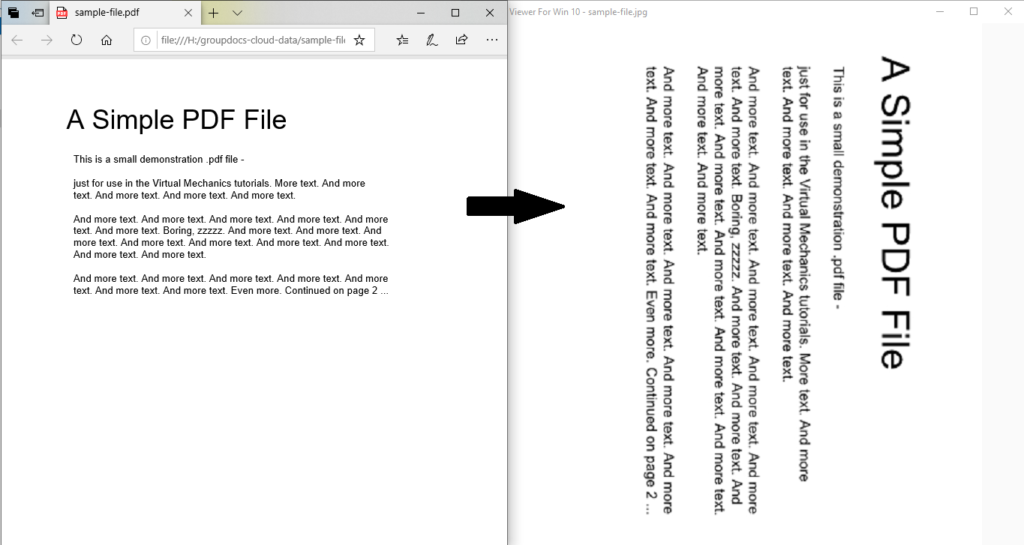 Come convertire pdf in jpg in windows 10 utilizzando le opzioni avanzate