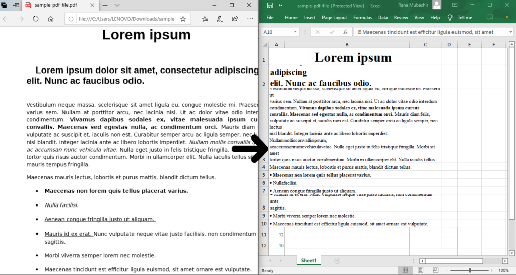 วิธีแปลง PDF เป็น XLSX ใน Python โดยใช้ REST API